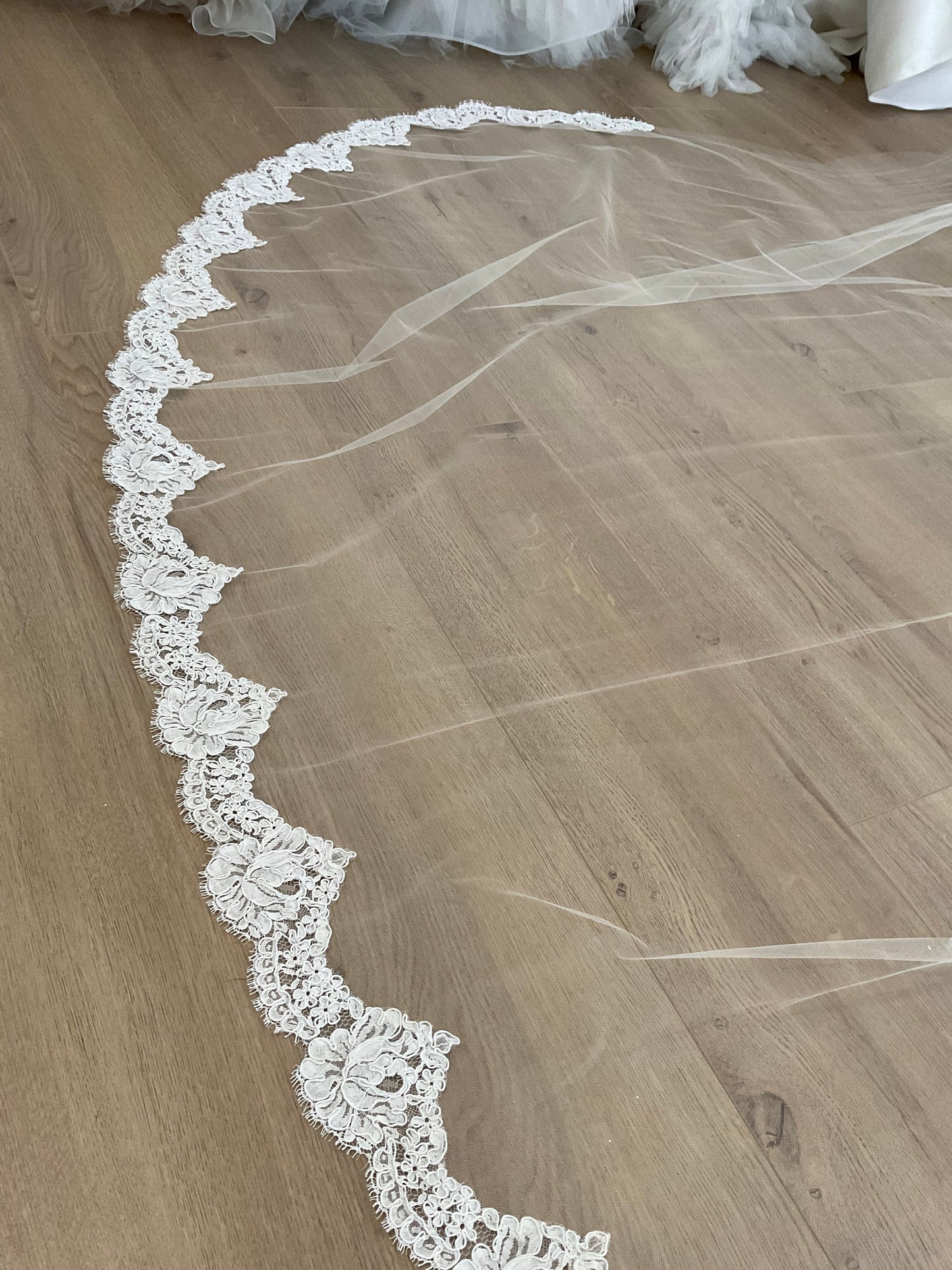 Debra Shirley - Cathedral Lace Trim Veil